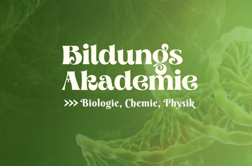 Fen Bilimleri